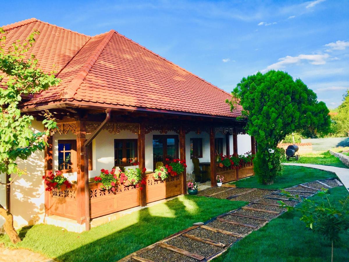 Conacul Grigorescu Ratesti Extérieur photo
